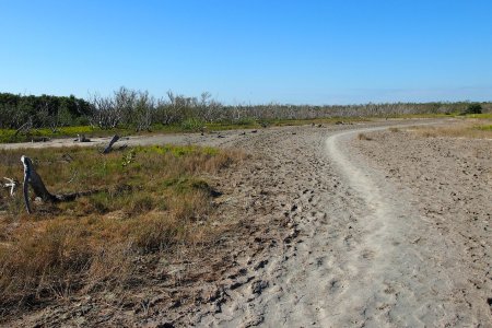 Rowdy Bend trial, Everglades National Park